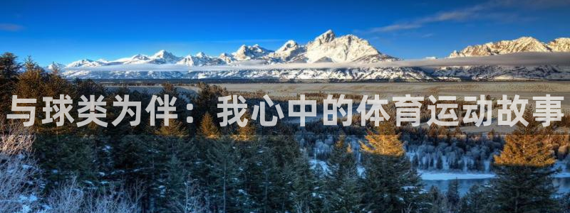 利记官方正版app官方：与球类为伴：我心中的体育运动