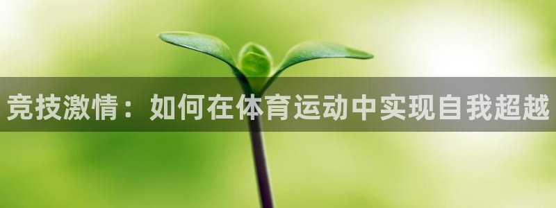 利记官方正版app科技：竞技激情：如何在体育运动中实
