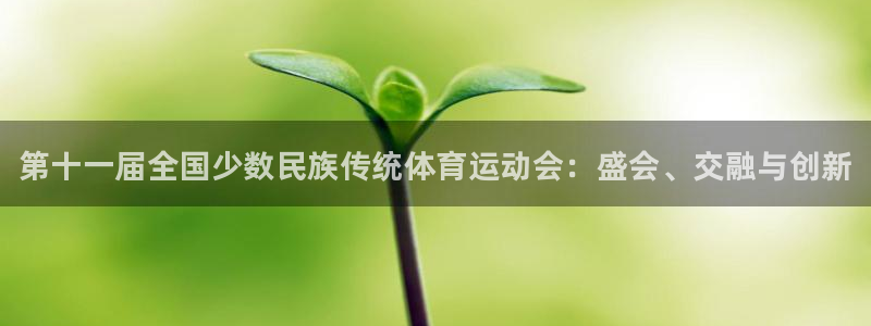 利记官方正版app集团E.ON：第十一届全国少数民族