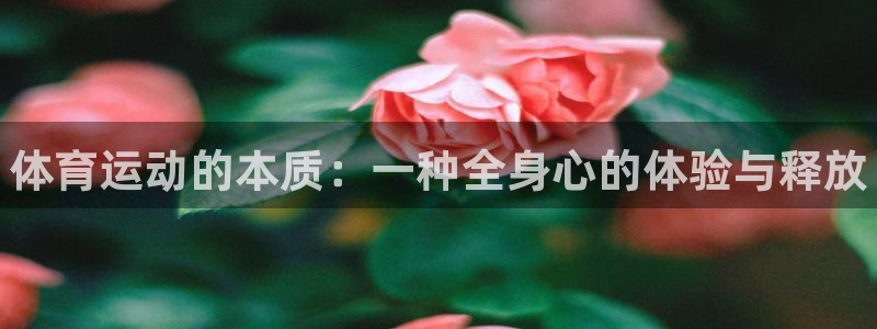 利记官网下载招商电话号码是多少啊：体育运动的本质：一