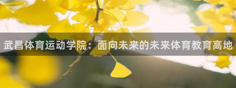 利记官方正版app集团官网网址：武昌体育运动学院：面