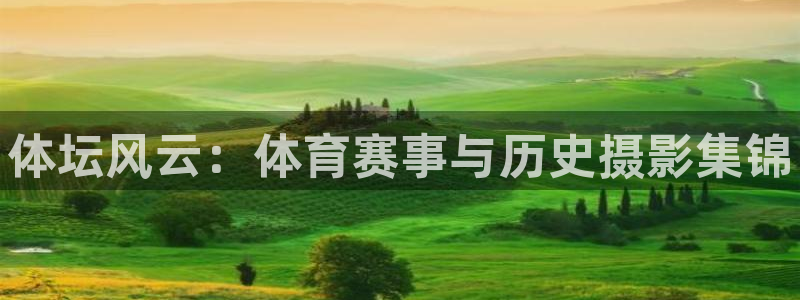 利记官方正版app集团logo：体坛风云：体育赛事与