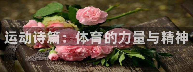 利记官方正版app娱乐40996：运动诗篇：体育的力