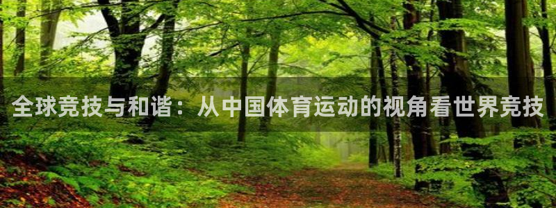 利记官方集团官网：全球竞技与和谐：从中国体育运动的视