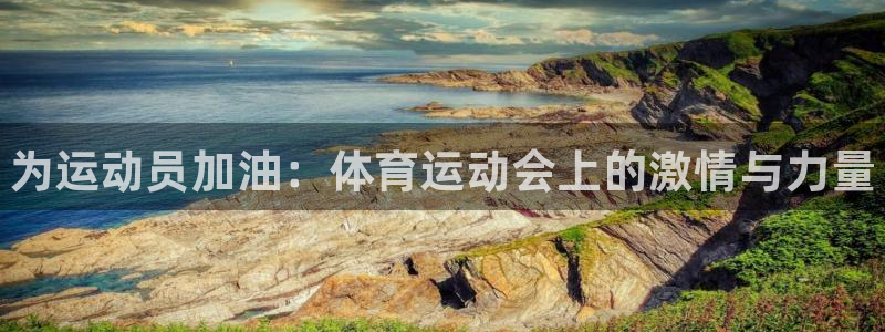 利记官网下载平台注册：为运动员加油：体育运动会上的激