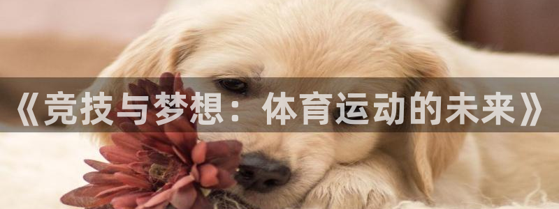 利记官网下载开户：《竞技与梦想：体育运动的未来》