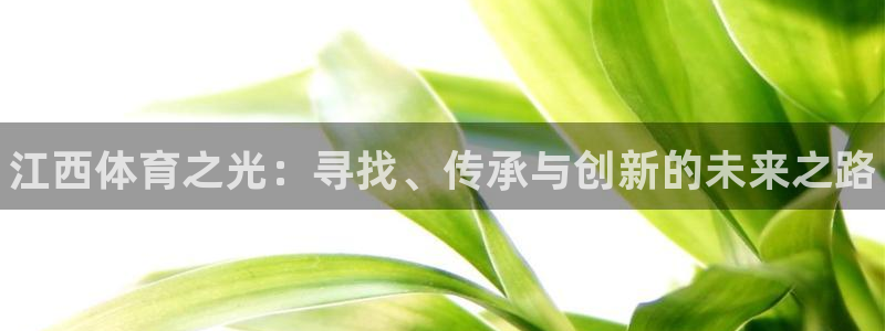 利记官方正版app科技：江西体育之光：寻找、传承与创
