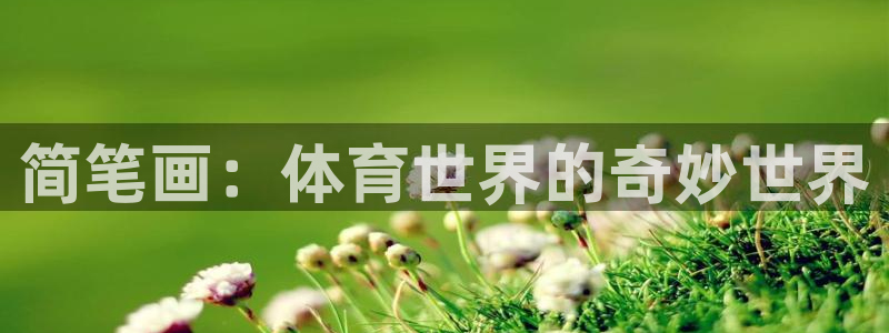 利记官方正版app娱乐下载：简笔画：体育世界的奇妙世