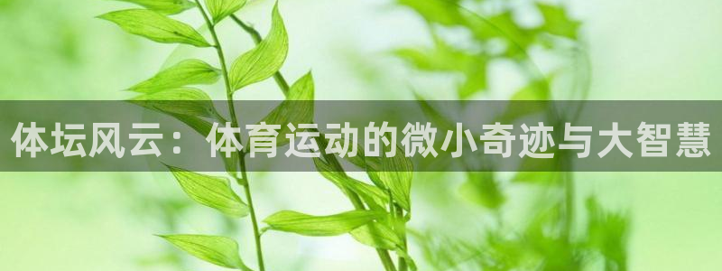 利记官方正版app官方：体坛风云：体育运动的微小奇迹