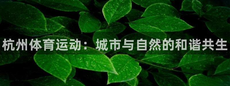 利记官方正版app集团官网首页：杭州体育运动：城市与