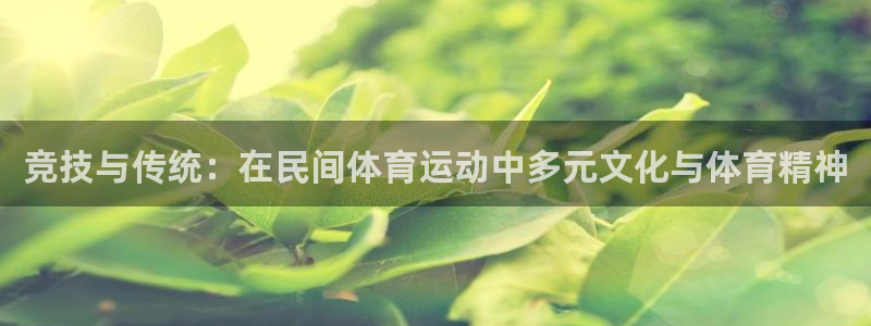 利记官网下载平台注册要钱吗：竞技与传统：在民间体育运