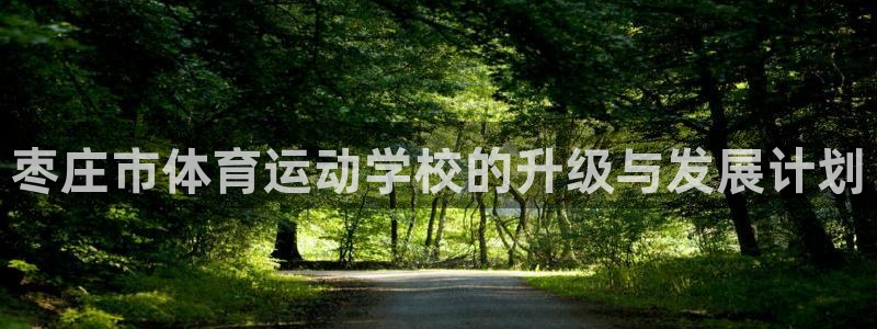 利记官网下载软件：枣庄市体育运动学校的升级与发展计划