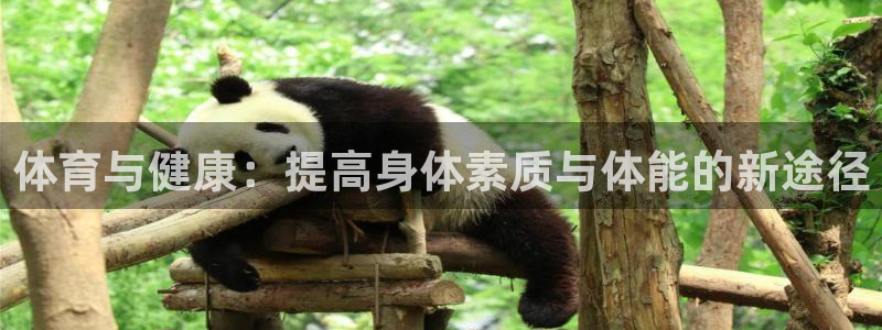 利记官方正版app集团简介：体育与健康：提高身体素质