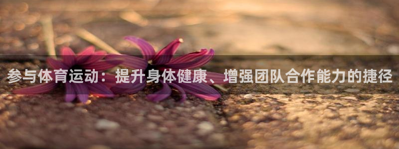 利记官网下载平台是正规平台吗安全吗：参与体育运动：提