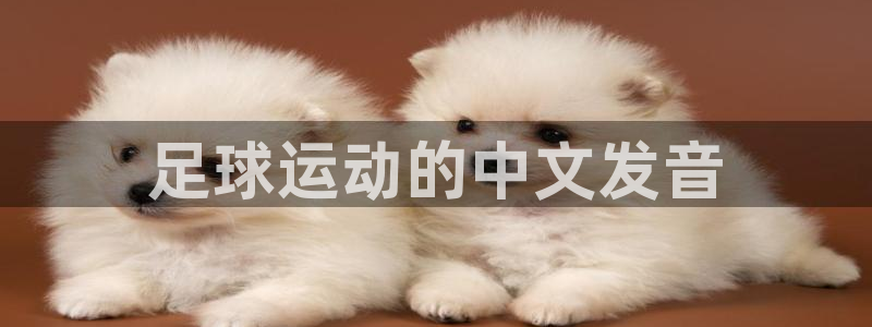 利记官方正版app集团官网首页网址：足球运动的中文发音