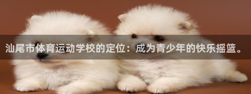 利记官网下载招商电话号码：汕尾市体育运动学校的定位：成为青少