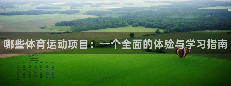 利记官方正版app娱乐是那个系列的台子：哪些体育运动项目：一