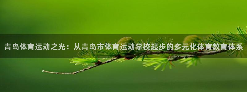 利记官方正版app开户：青岛体育运动之光：从青岛市体