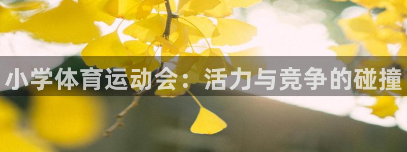 利记官方平台体育：小学体育运动会：活力与竞争的碰撞
