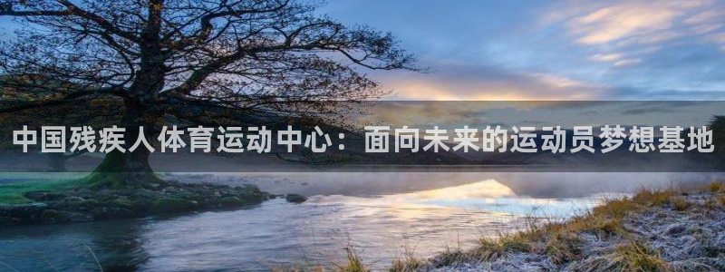 利记官方正版app集团官网网址：中国残疾人体育运动中