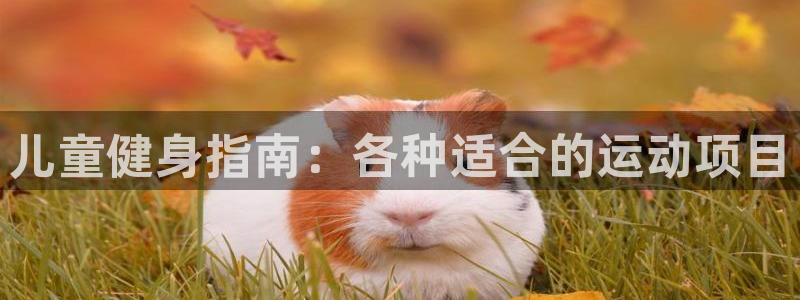 利记官网下载招商电话号码是多少：儿童健身指南：各种适合的运动