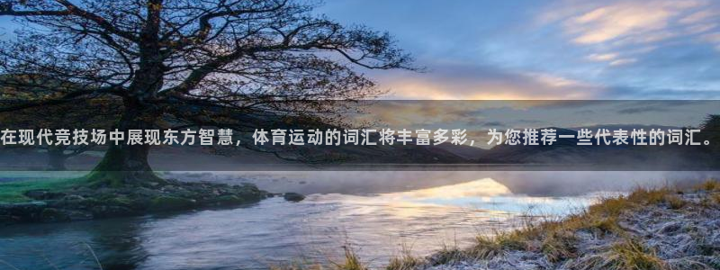 利记官网下载平台注册流程图：在现代竞技场中展现东方智