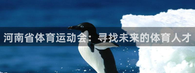 利记官网下载平台注册流程视频