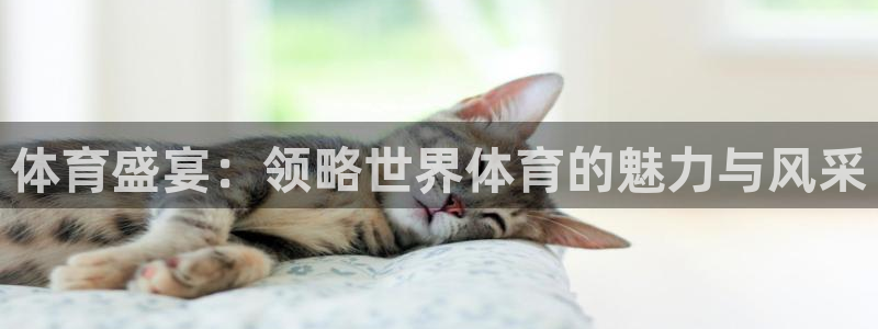 德国利记官方正版app集团：体育盛宴：领略世界体育的魅力与风