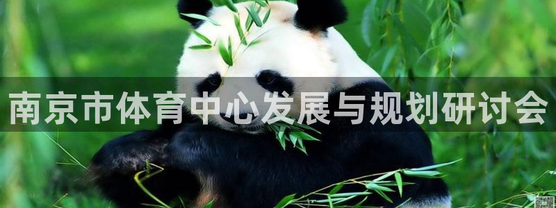 利记官方正版app娱乐：南京市体育中心发展与规划研讨