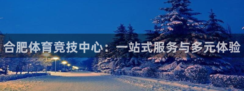 利记官网下载平台注册流程视频：合肥体育竞技中心：一站式服务与