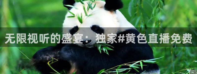 劲爆体育直播nba节目表：无限视听的盛宴：独家#黄色直播免费