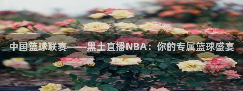 劲爆体育f1直播：中国篮球联赛——黑土直播NBA：你的专属篮球盛宴