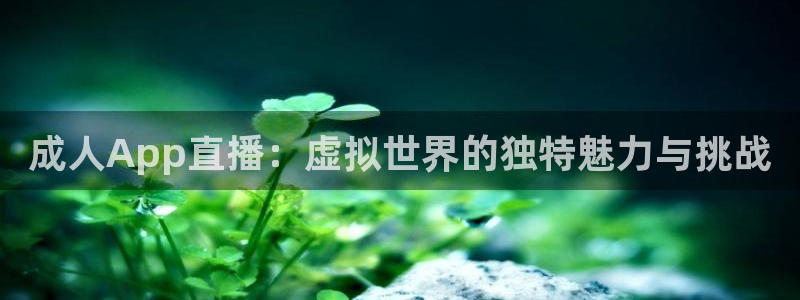 劲爆体育nba解说员