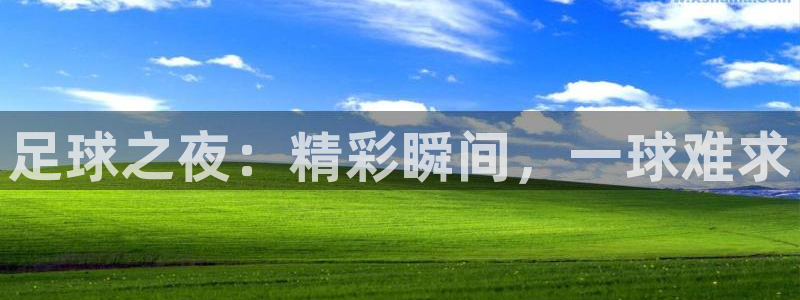 劲爆体育直播nba