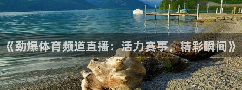 劲爆体育nba直播免费高清在线